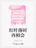 红叶已经落尽了