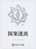 探案迷情免费阅读