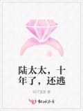 陆太太好久不见小说免费阅读