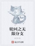 轮回之无限进化