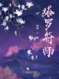 塔罗师傅