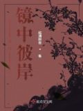 镜中的风月