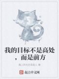 我的目标不是高处,而是前方是什么歌
