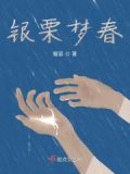 银栗什么意思