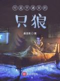 只狼修罗攻略