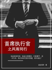 首席执行官电视剧