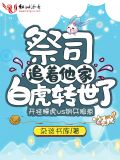 祭司追着他家白虎转世了