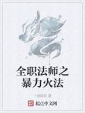 全职法师之暴力火法