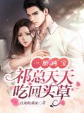 一胎三宝两个爹