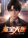 小说鉴宝天书