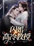 闪婚教授甜文