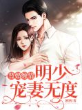 小说替婚