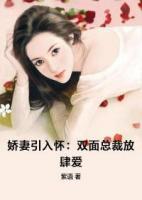 娇妻引入怀:双面总裁放肆爱