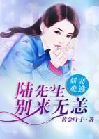 娇妻重生:陆总,我宠你!唐汐汐