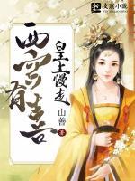 皇上的西宫是啥意思
