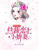 婚外错爱:总裁恋上小娇妻 柠子