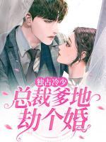 独占冷少:总裁爹地,劫个婚
