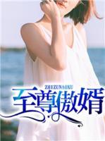 至尊神婿傲轩网