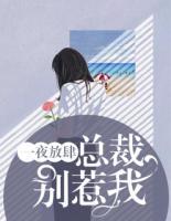 一夜错惹总裁别惹我