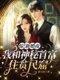 惊新婚夜我和神秘首富住贫民窟 暮小妖