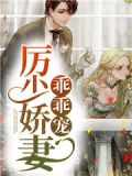 厉少娇妻乖乖宠小说