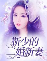 靳少的二婚新妻免费阅读