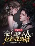 替嫁当天,豪门继承人拉着我离婚
