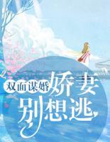 双面娇妻之总裁索爱
