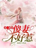 第一傻后小说网