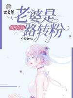 小说雅痞