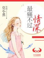最痛不过情深 第17章