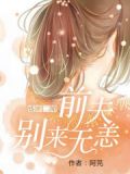 盛世二婚:前夫别来无恙 阿芫