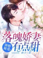 锁婚囚宠