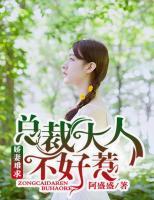 娇妻难求,总裁大人不好惹 阿盛盛