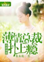 《夜夜承欢:总裁大人和他的小逃夫》