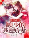 机智萌宝,顾少的逃跑娇妻 竹子