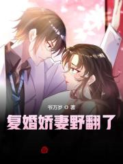 复婚全文免费阅读