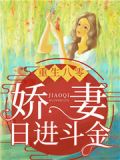 重生八零娇妻入怀33言情阅读