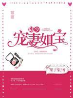 陆少:宠妻如宝 果子梨