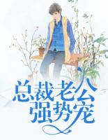 总裁老公强势宠爱小说