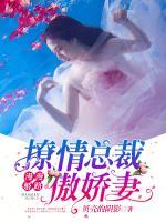 漫漫婚路撩情总裁傲娇妻 甘源
