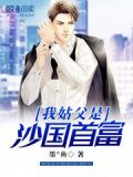 我是姑父的小说