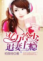 亿万冷少追妻上瘾73