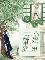 多面总裁小姐姐哪里逃