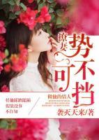 撩妻在上免费阅读全文