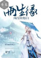 两生两缘 小说