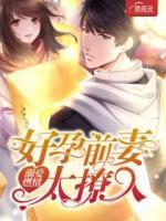 溺爱孕夫讲的什么