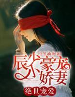 绝世宠爱:辰少豪宠小娇妻(斗笠油条)