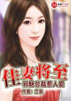 1、书名《佳妻来袭》,作者:眉久久