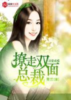 错爱成双 小说